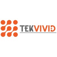 TekVivid, Inc Logo