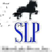 Silver Lake Press Logo