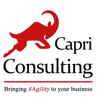 Capri Consulting Ltd. Logo