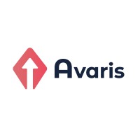 Avaris Logo