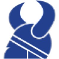 SDU Vikings Racing Team Logo