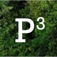 P3 Audit Limited Logo