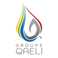GROUPE QAELI Logo