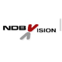 NDB Vision Logo