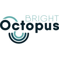 Bright Octopus Logo