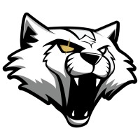 Wygers Esports Developments SA Logo