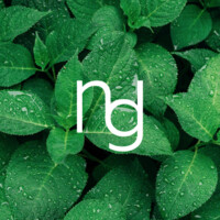 Newgate.Labs Logo