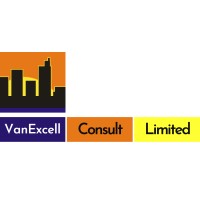 VanExcell Consults Logo
