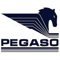 Pegaso Logística Comércio e Serviços EIRELI Logo