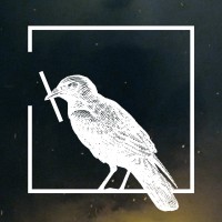 Animal Studio Logo