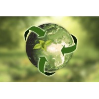 International Watersports Logo