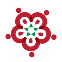 Teach For Morocco Logo
