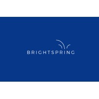 Bright Spring Strategy Consulting Logo