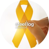 Steel Log Logo