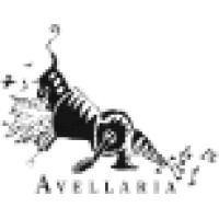 Avellaria Logo