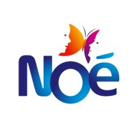 Noé Logo