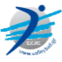 Hellenic Volleyball Federation Logo