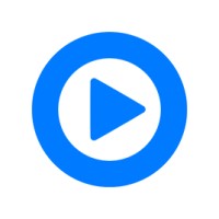 Playful Studios Logo