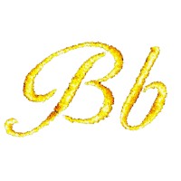 B Flat Pictures Logo