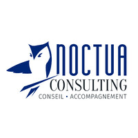 Noctua Consulting Logo