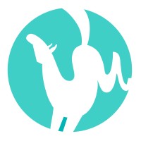Hyper Pony Studio Web Design Logo