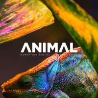 Animal Marketing Digital Logo