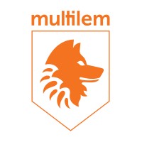 Multilem Worldwide Logo