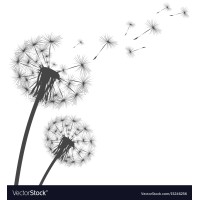 St. Matthews House Logo