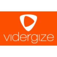 Vidergize Consulting Group Logo