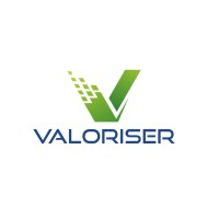 Valoriser Consultants Inc. Logo
