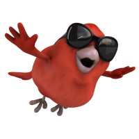 Red Robin Recruitment Logo