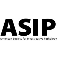 American Society for Investigative Pathology (ASIP) Logo