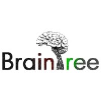 BrainTree Consultancy Services Logo