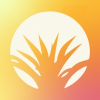 Xoles Consultores Logo