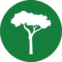 International Tree Foundation Logo