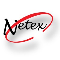 Netex Group Logo