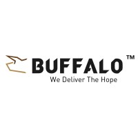 BUFFALO INTERNATIONAL LOGISTICS Logo