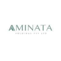 AMINATA HOLDINGS Logo