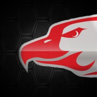 MULTI SECURE CORP Logo
