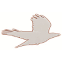 White Raven Financial Logo