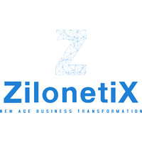 Zilonetix Logo