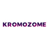Kromozome Business Solutions Logo