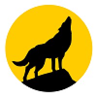 Northern Sky Designs, LLC Logo