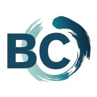 Boraine Consulting Logo