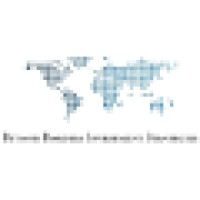 Beyond Borders Investment Strategies, LLC Logo