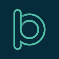Premier Brains (Audit | Tax | Accounts | Advisory) Logo