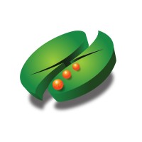 SSG Consulting Logo