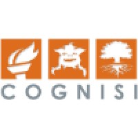 Cognisi Logo