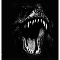 The RAWR Agency Logo