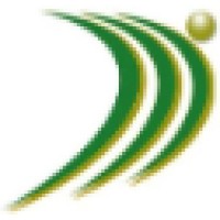 DynamicMinds Business Solutions Inc. Logo